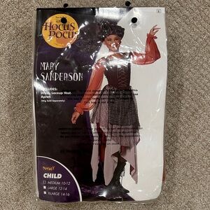 Disney Mary Sanderson Kids Costume - Black and Orange